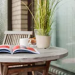 Buengers Apartment-hotel Mit Gartensauna - Modern, Gemuetlich Und Strandnah 4* Strande